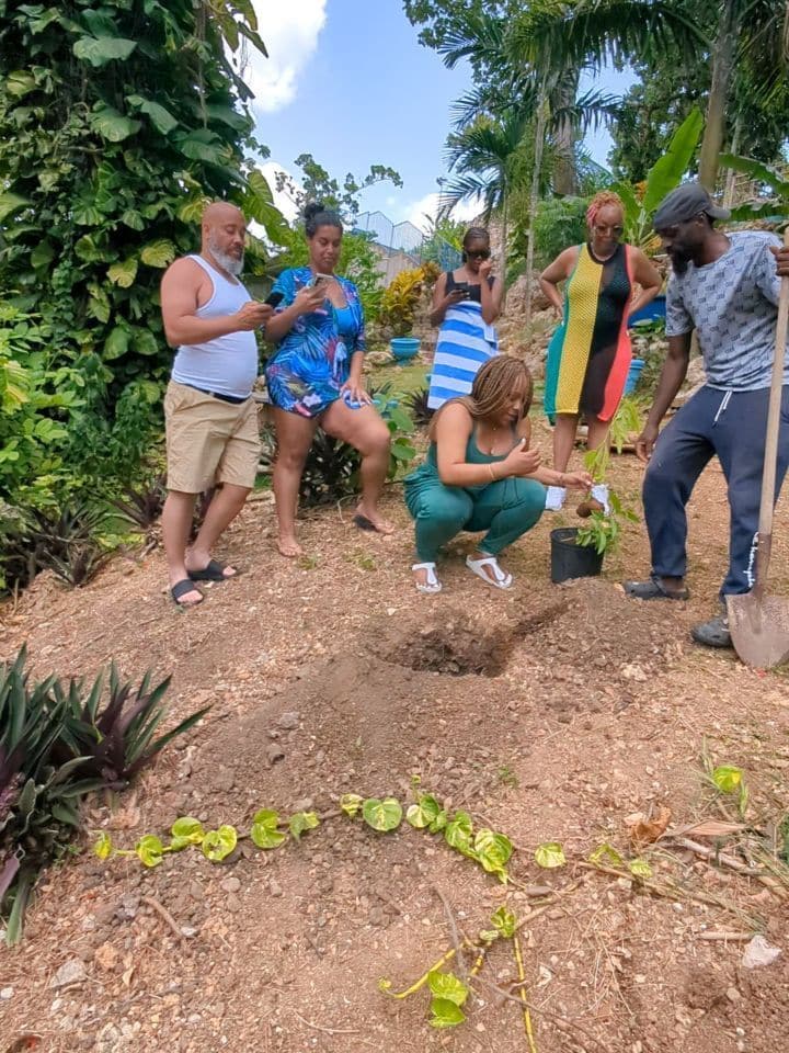 Returning guests planting a tree in the grounds at Bay Vista Villa
